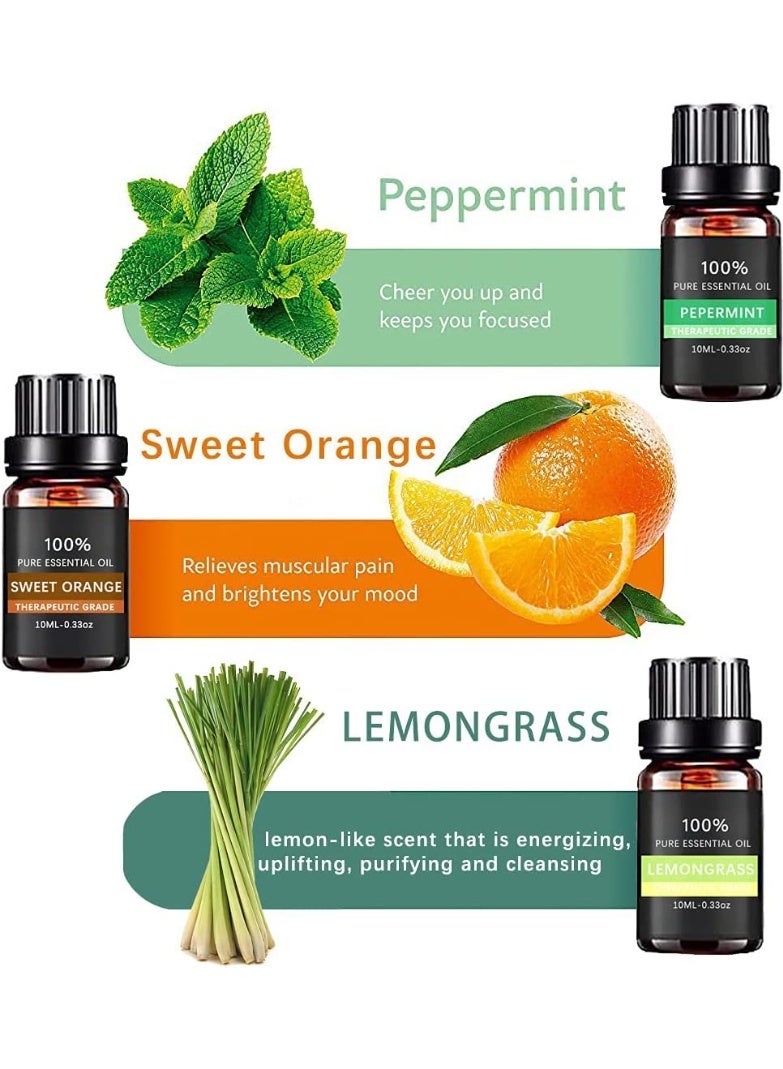 ChicAbode مجموعة زيوت عطرية مكونة من 6 قطع، زيوت نقية 100%، مجموعة هدايا زيوت العلاج العطري، لأجهزة التبخير، وأجهزة الترطيب، والتدليك، والعلاج العطري، وصناعة الشموع، والعناية بالبشرة والشعر، 10 مل - Image 4